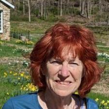 Mrs. B. Pound Ridge, NY, available for online tutoring