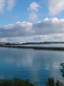 Kim F. Alexandria, VA, available for online tutoring