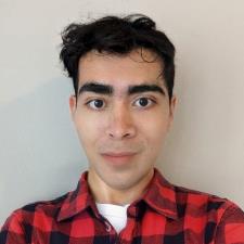 Nicholas P. Amsterdam, NY, available for online tutoring