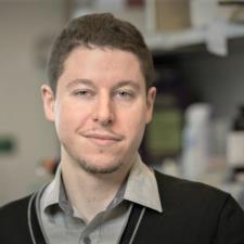 Chris H. Athens, GA, available for online & in-person tutoring